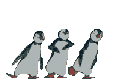 3-pingouins-danse